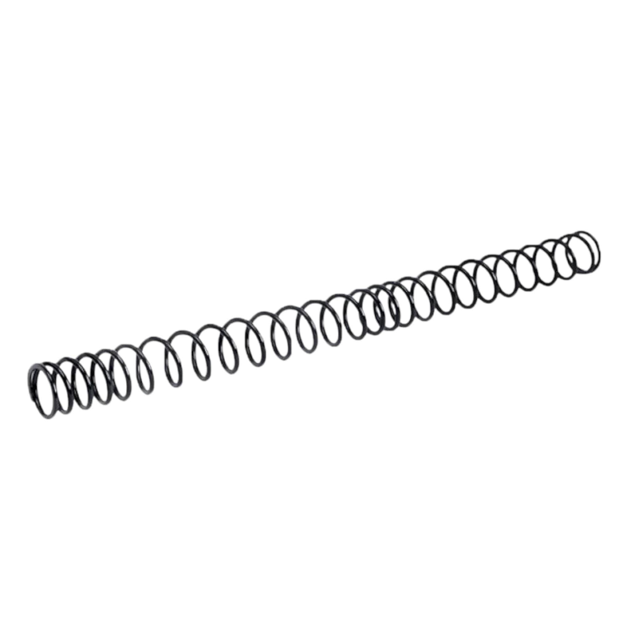 M110 AEG Spring