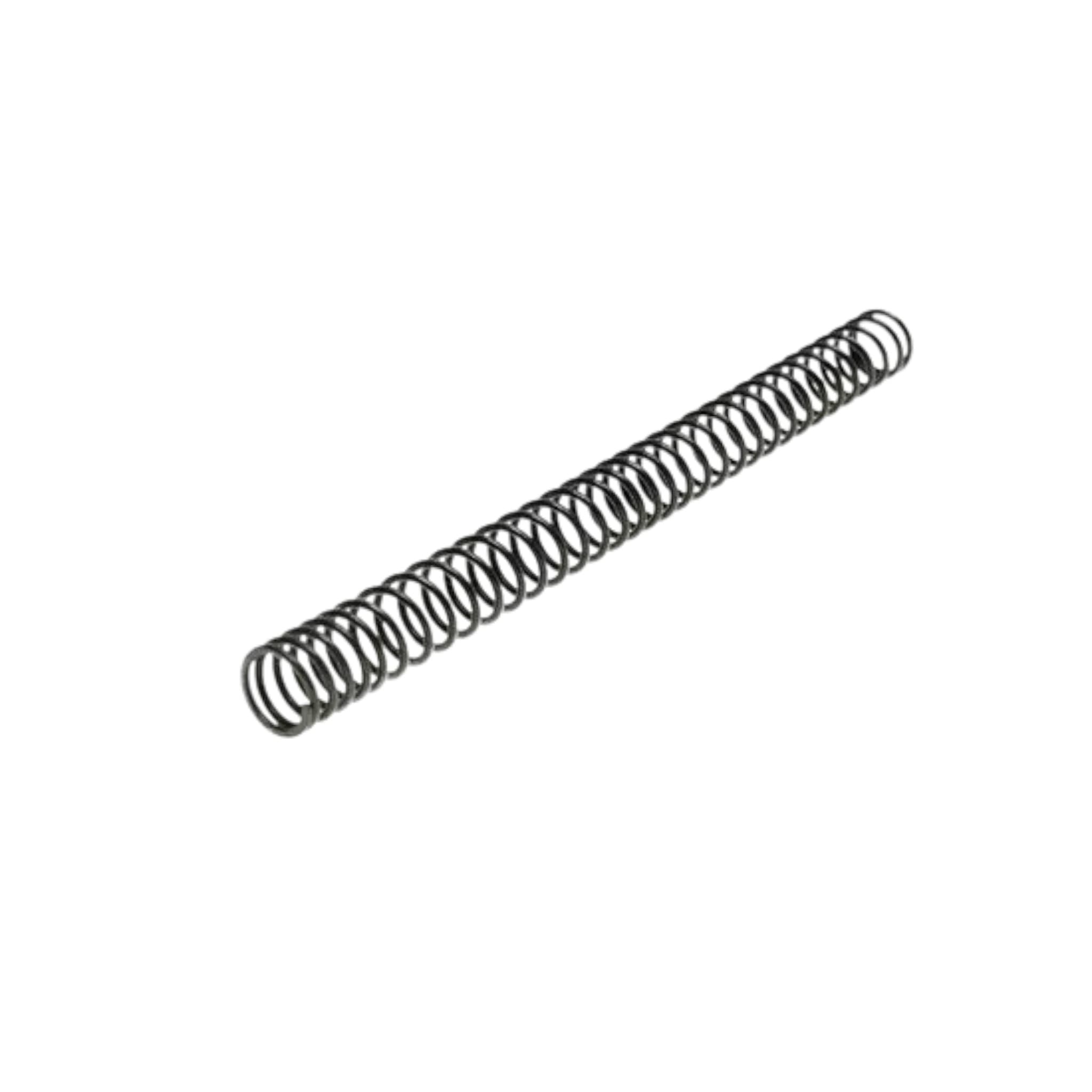 M110 AEG spring