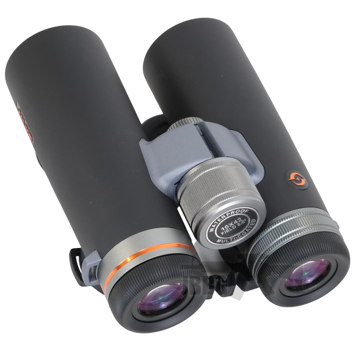 W34 10×42 Binoculars