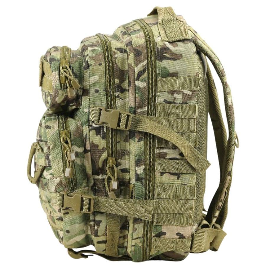 Small Molle Assault Pack 28 Litre – BTP — image 2