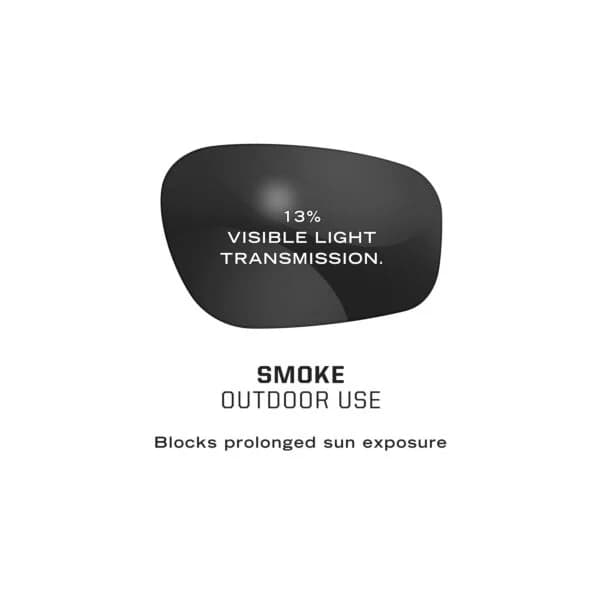 Wear Vision Tactical Type-X – Smoke Lens / Frame — image 3