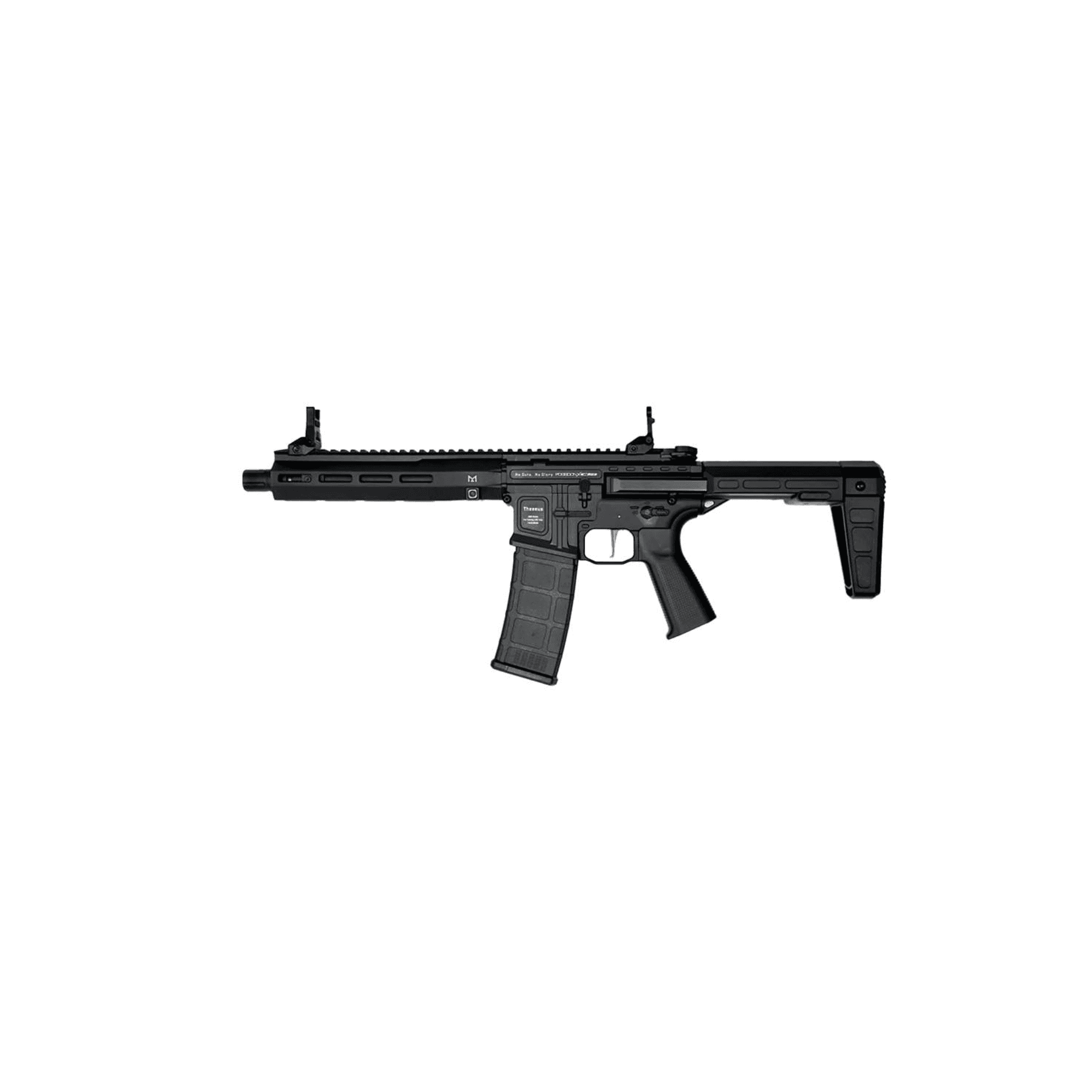 Theseus PDW AEG – BLK