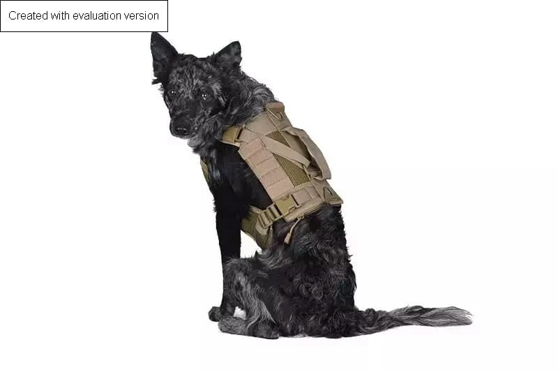GEAR Tactical Dog Harness – Coyote Brown — image 3