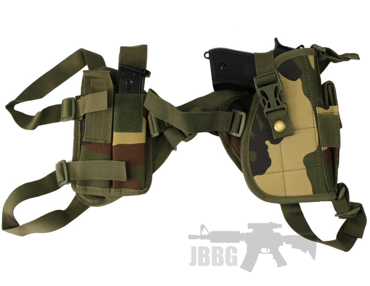 Holster D