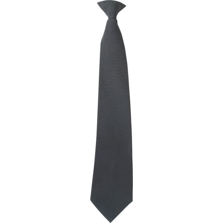 Clip-On Tie